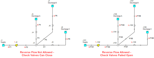Figure-7---Modified-Multi-Branched-System-with-Check-Valves