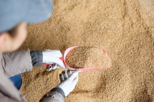 Hero Image - Animal Nutrition