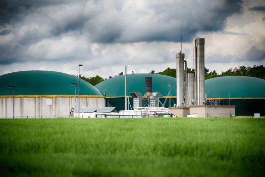 Biofuel - Feature 4