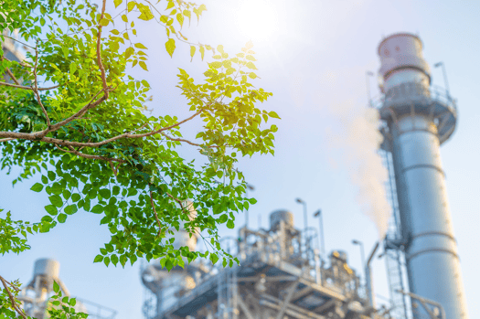 Biofuel - Feature 5
