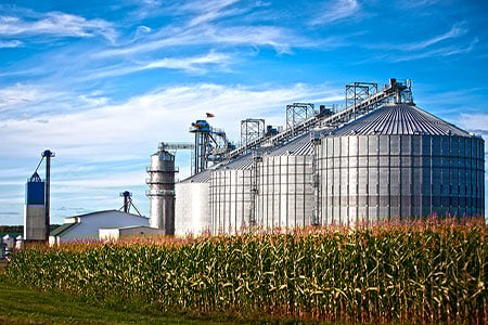 Biofuel - Feature 7