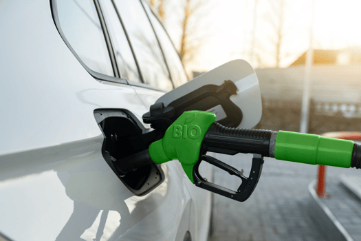 Biofuel - Feature 8