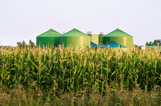 biofuel-iStock-web- (1)