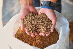 Datacor and Nuvio Planet Collaborate to Embed Environmental Intelligence into Feed Formulation