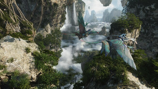 Flight of Passage ride on a Banshee